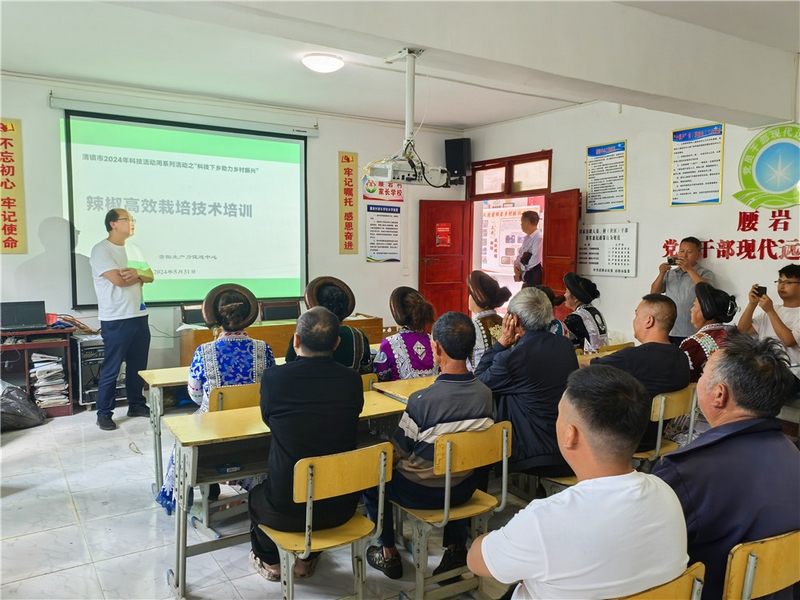 (4)科技特派員團團長朱熠鵬開展辣椒高效栽培技術培訓。