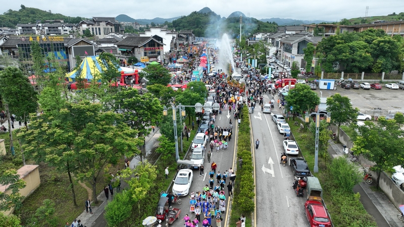 水龍巡游。楊洪金攝