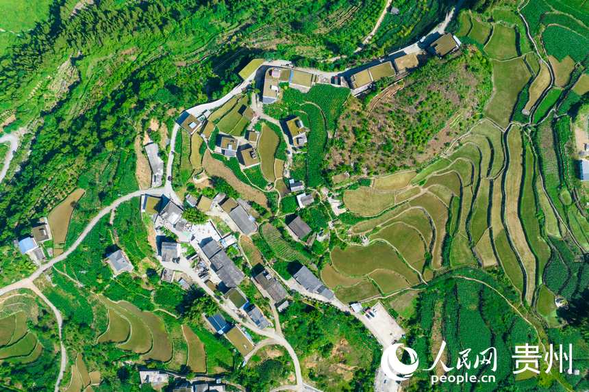 航拍貴州省畢節市七星關區生機鎮高流村。人民網記者 涂敏攝