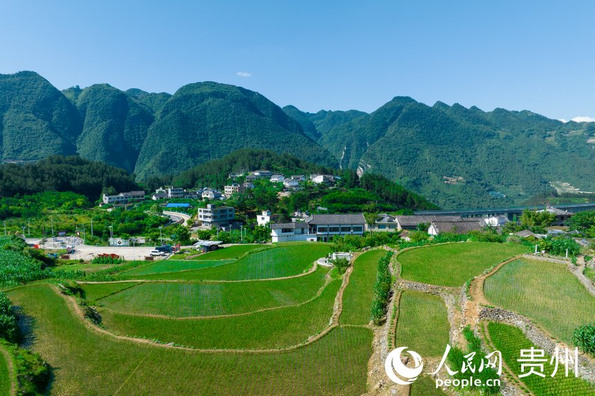 航拍貴州省畢節市七星關區生機鎮高流村。人民網記者 涂敏攝