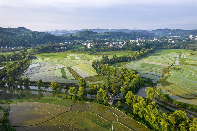 貴州黔西：仲夏田園美如畫。