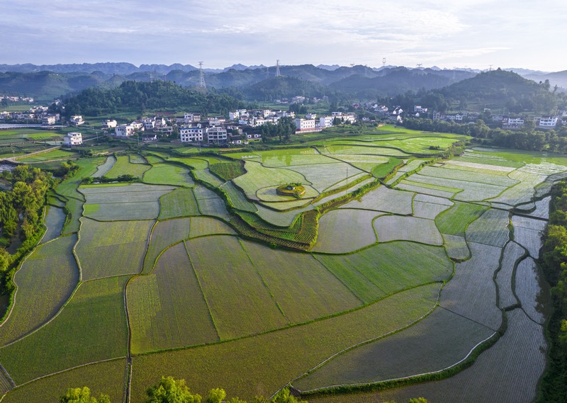 貴州黔西：仲夏田園美如畫。