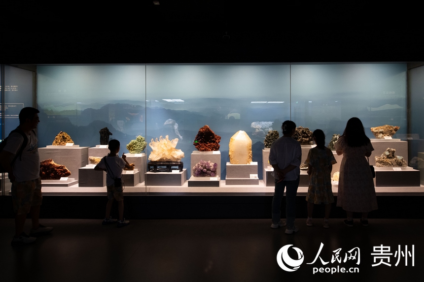6月21日，在貴州省地質博物館，游客正在參觀游覽。人民網記者 翁奇羽攝