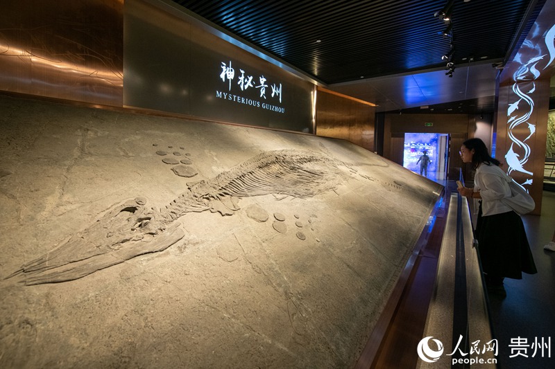 在貴州省地質博物館，游客正在參觀游覽。人民網記者 翁奇羽攝