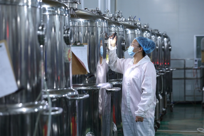 技術員檢查菌種培育情況。