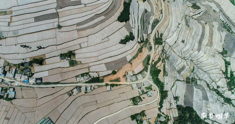 畢節市威寧縣云貴基地單元。