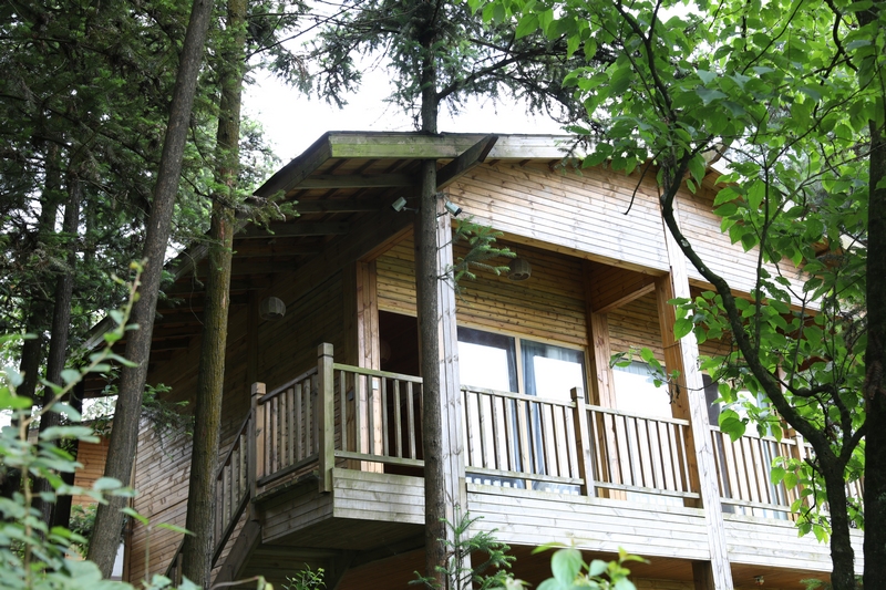 2、森林環繞的客棧。