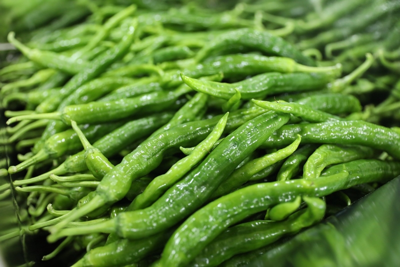 圖為駱家橋村生產的辣椒。李齊 攝