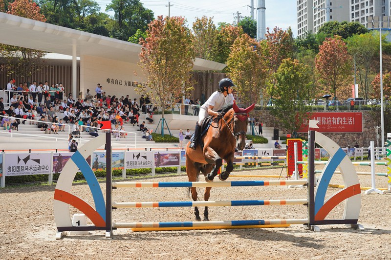 訓練賽現場。貴陽國際馬術運動中心供圖 (9)