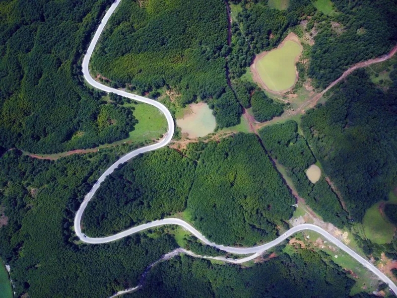 1沙子坡林區（何歡 攝）