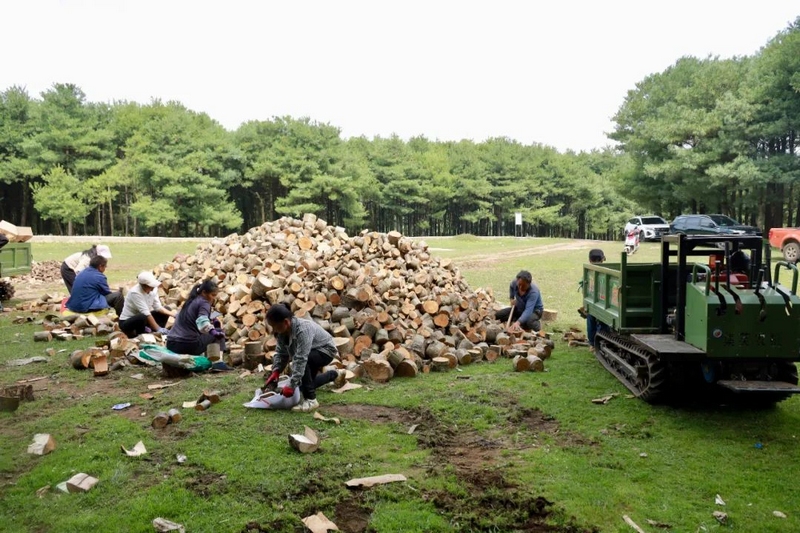 務工群眾在制作菌材