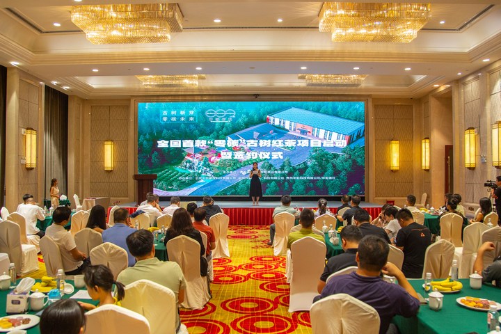 全國首款“零碳”古樹紅茶項目啟動儀式現場。袁華強攝