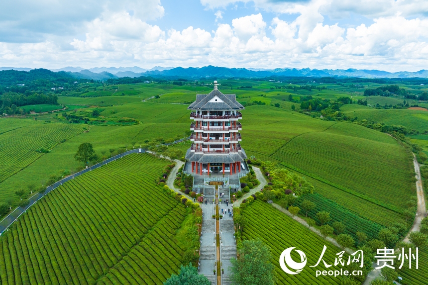 航拍貴州省遵義市湄潭縣的萬畝茶海景區。人民網 陽茜攝