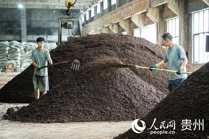 木黃酒業制酒車間內一派繁忙景象。人民網 陽茜攝