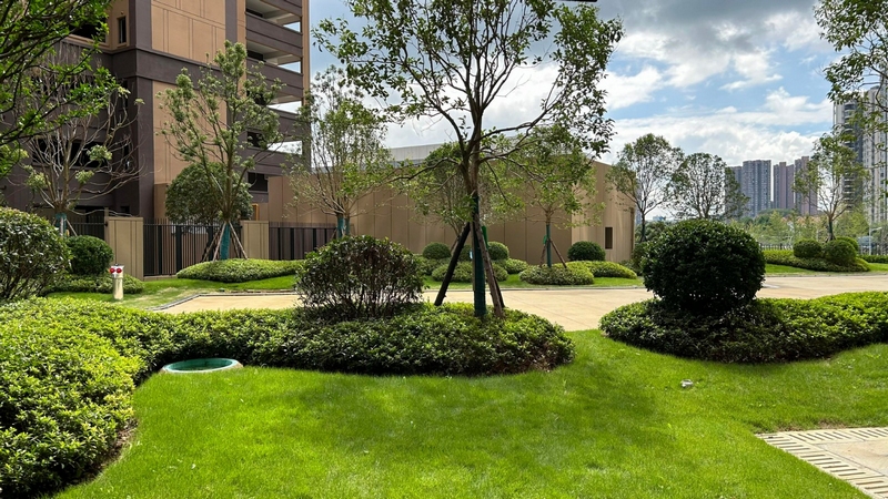 小區綠化。陳語豐攝