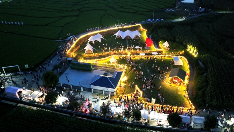 7  稻田音樂節現場。 李城  攝