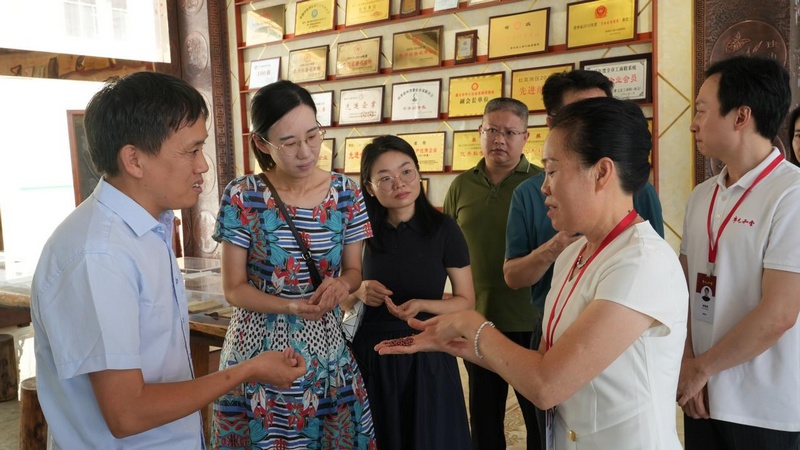 2 圖為現場交流討論。紅花崗區融媒體中心供圖.jpg