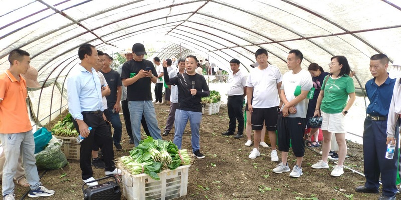 田間課堂現場。 龔曉宏 攝.jpg