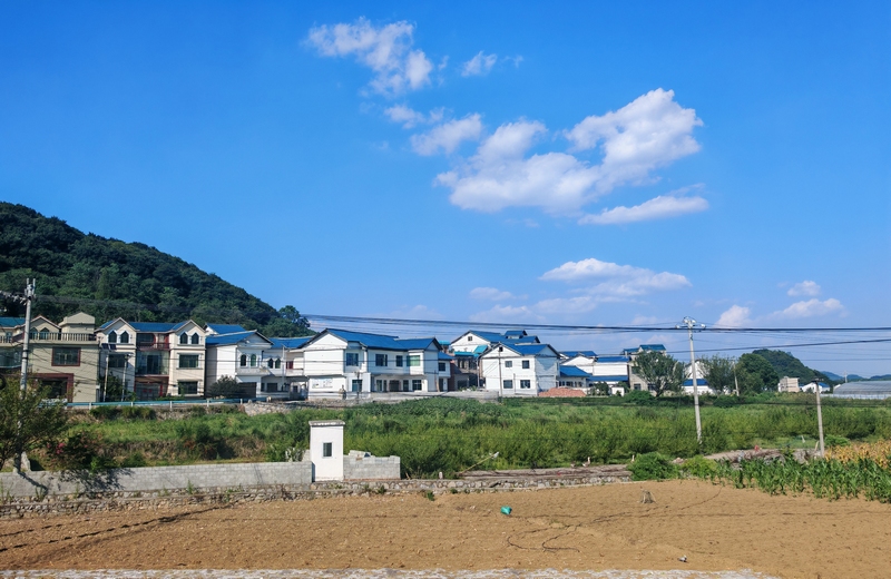 美麗鄉村畫卷。沈建華 攝