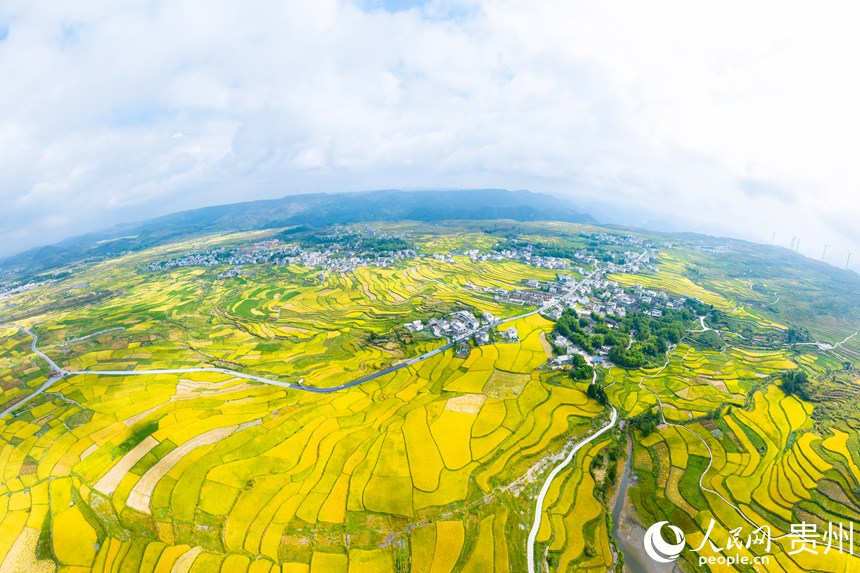 航拍貴陽市花溪區高坡苗族鄉梯田。人民網記者 涂敏攝