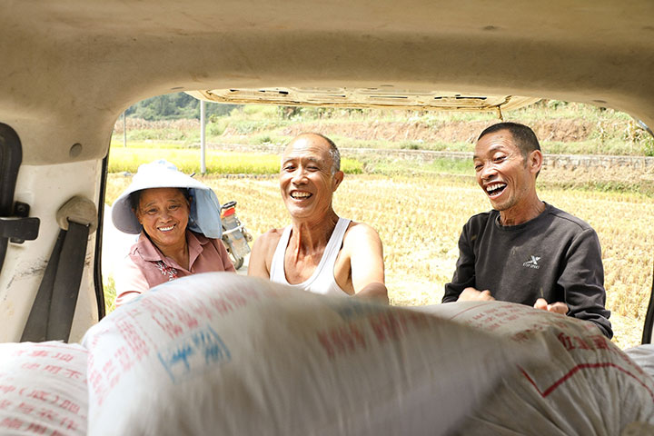 群眾水稻豐收喜開顏。