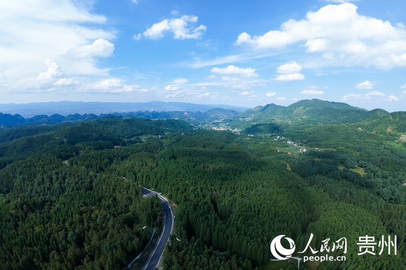 航拍畢節市納雍縣國有化作林場。人民網記者 涂敏攝