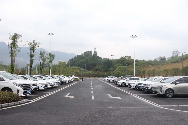 5 圖為各類租車