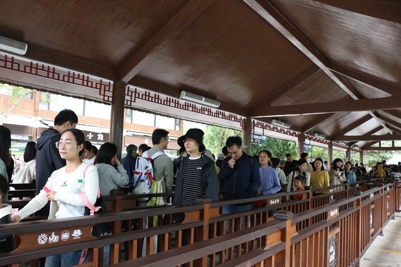 游客在景區內有序換乘。