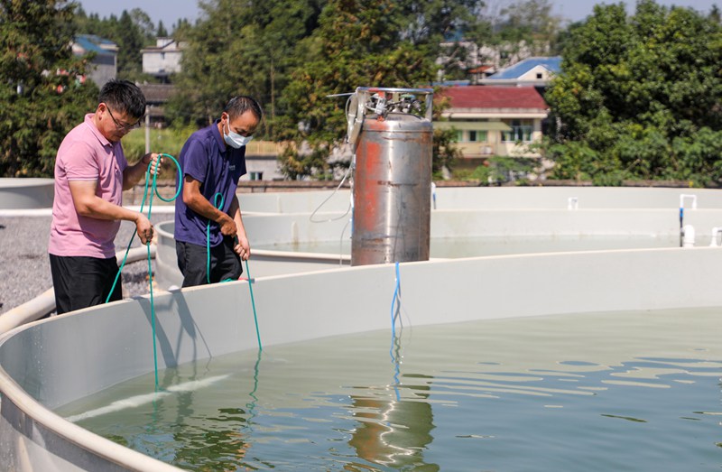 安裝測試超細氣泡增氧機