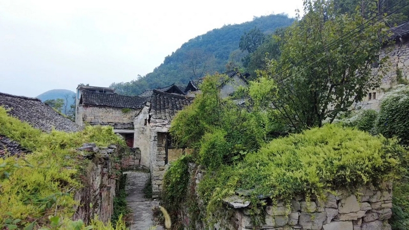 圖為普定縣黃桶街道陳旗村一角。