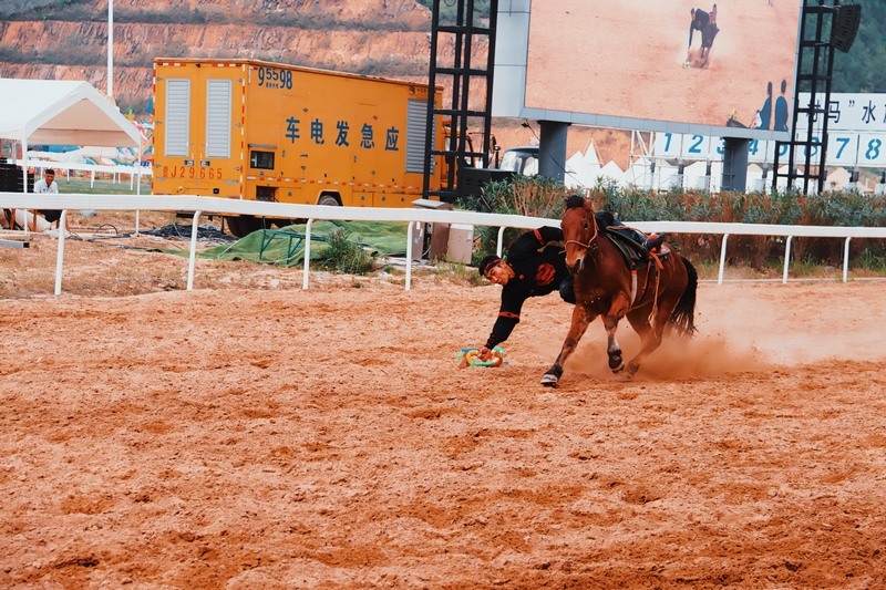 精彩的馬術表演