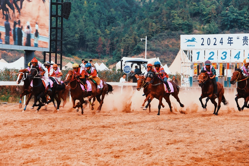 貴州村馬持續引燃“超級周末”。