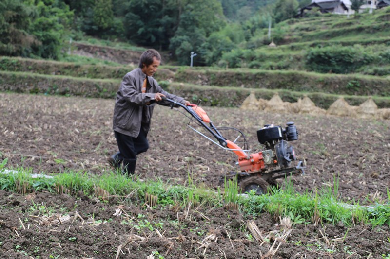 新華村土地翻犁。