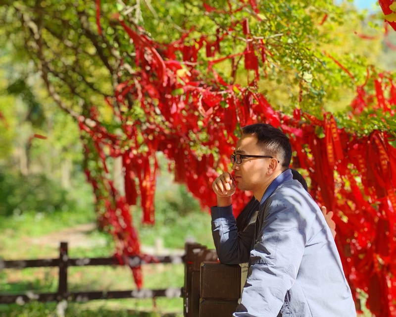 長崗鎮銀杏景區游客駐足（余甚君 拍攝）