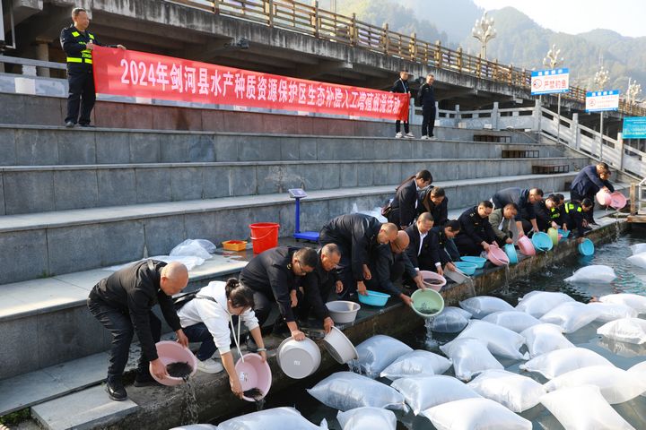 人工增殖放流現場。謝達意攝