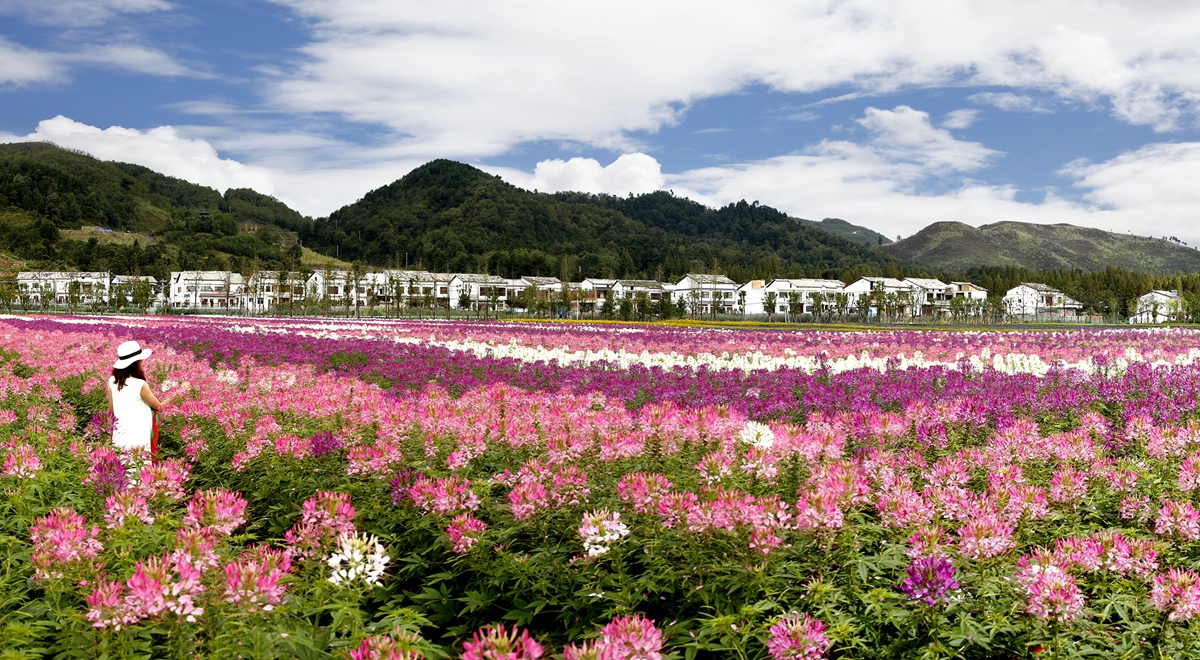 西秀區山里江南景區