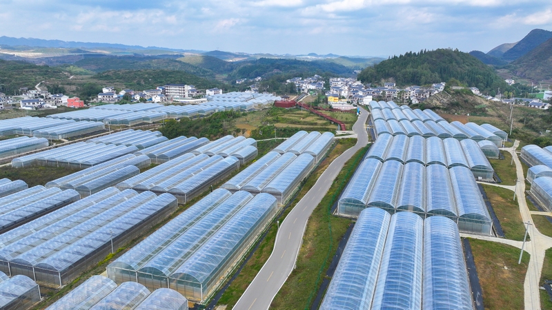 虎山彝寨至琊隴壩公路。廖迅 攝