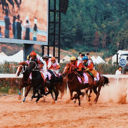 貴州村馬持續引燃“超級周末”10月12日—13日，“貴州村馬”水族端節全國賽馬聯賽正式拉開帷幕，持續為游客們帶來“馬背上的速度與激情”……