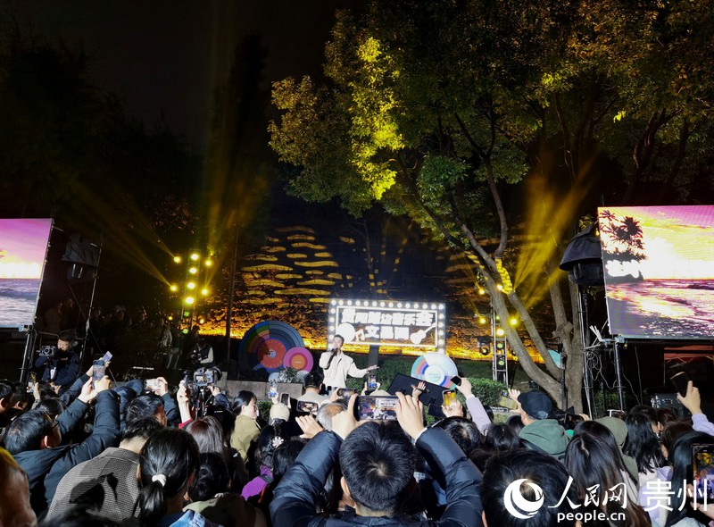 音樂會現場。人民網記者 王秀芳攝 (3).jpg