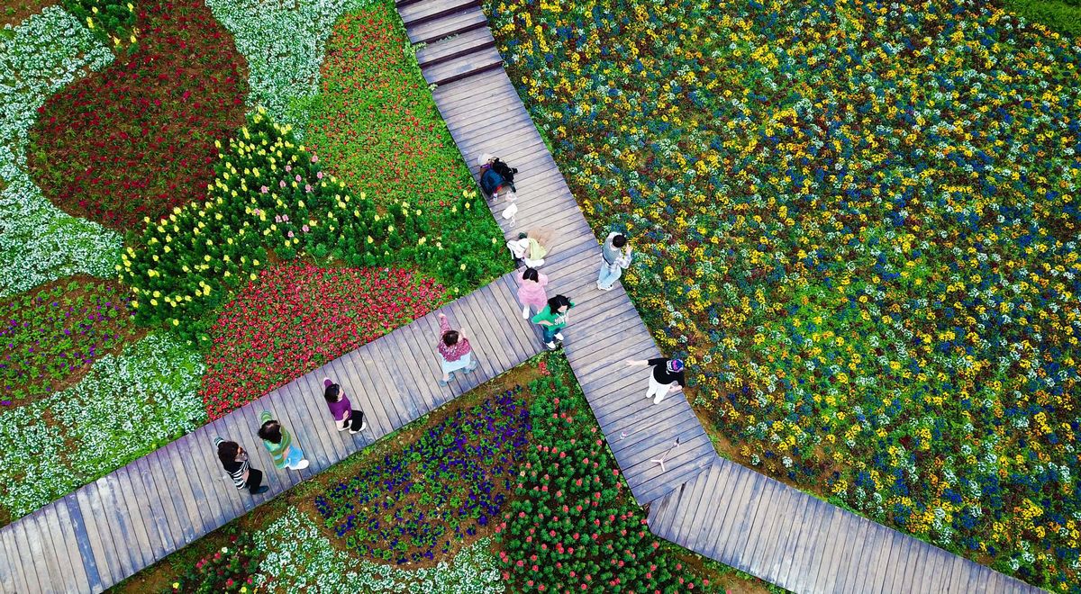 烏當區羊昌花畫小鎮