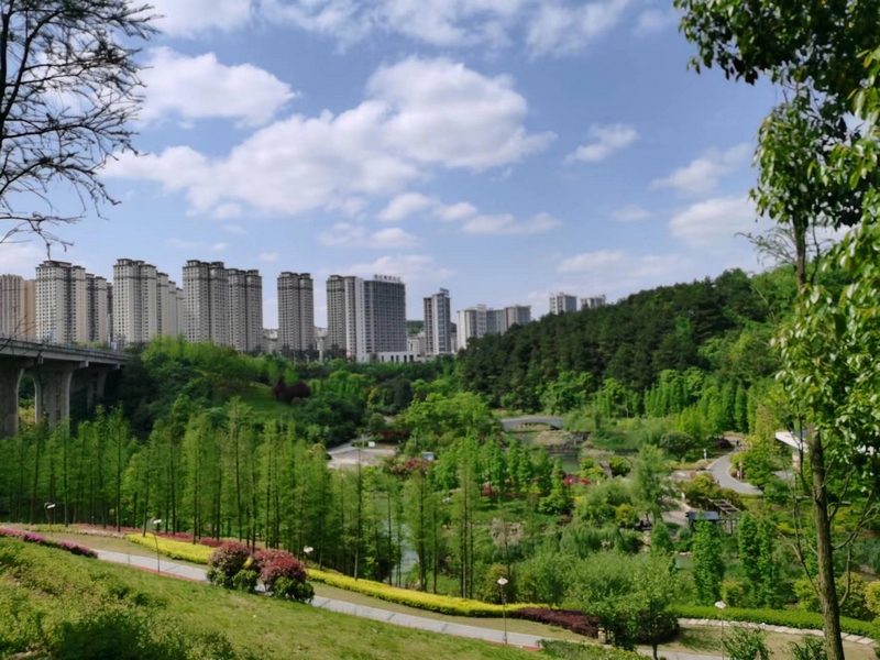 國家稅務總局貴州雙龍航空港經濟區一景。