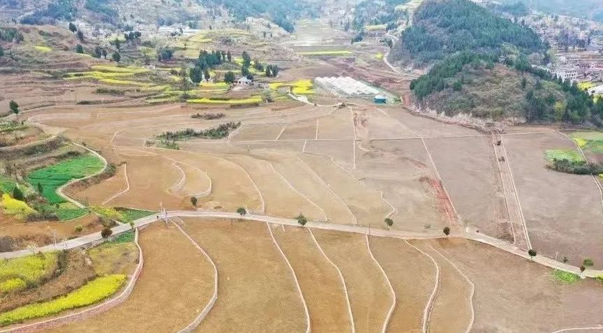 3萬余畝高標準農田建設正酣