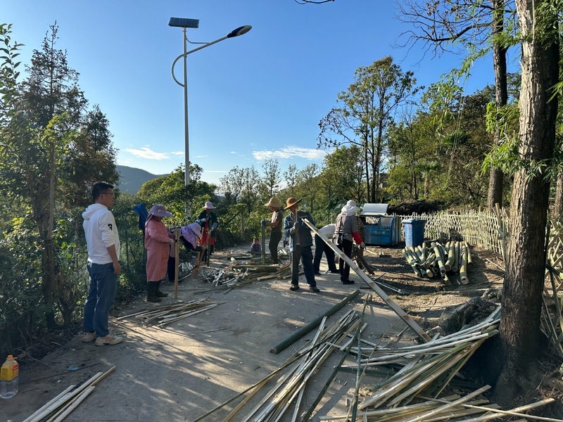 組織群眾打掃衛生，共同搭建漂亮的路邊籬笆圍欄。