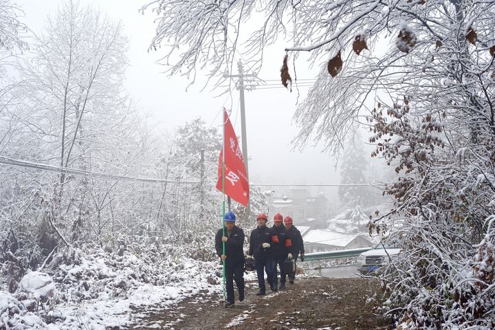 工作人員對供電線路和設備進行巡視、維護。金莎 攝.jpg