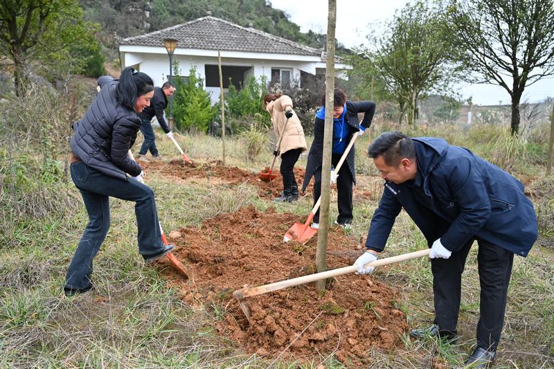 黨員干部參與植樹。