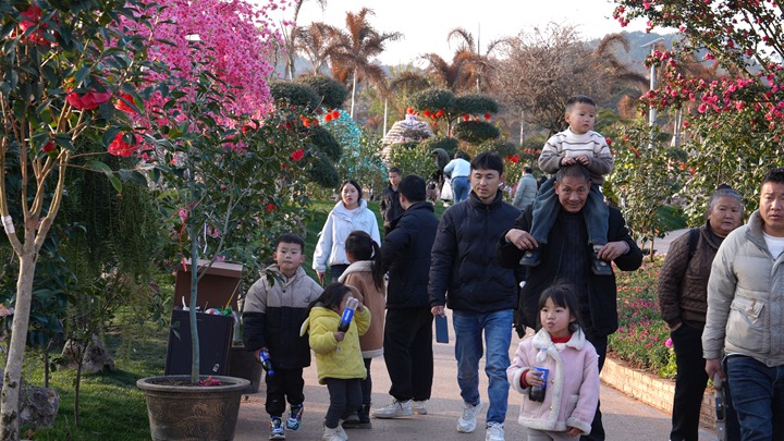 游客歡樂游園。