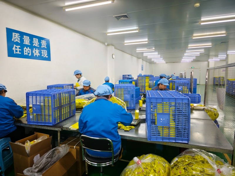 修文縣16家規上藥企按下復工復產“啟動鍵”。