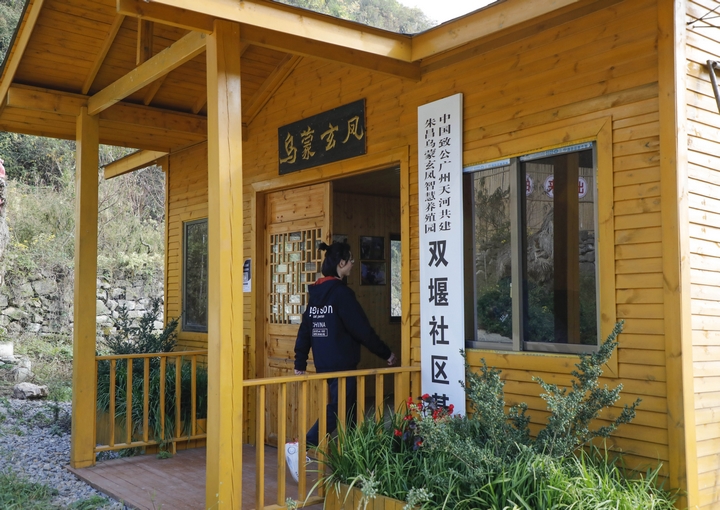 朱昌鎮雙堰社區“烏蒙玄鳳”的智慧養殖基地 。 周海東攝