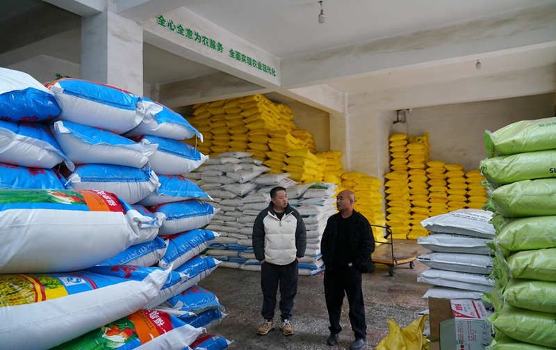 整齊堆放的化肥。代勝強  攝.jpg