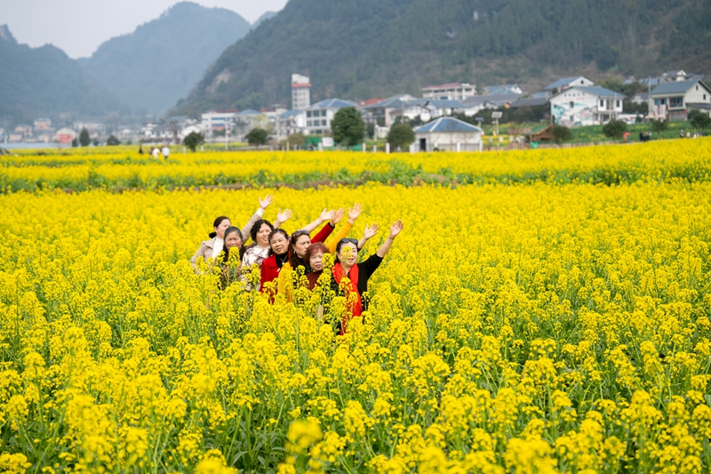 4 圖為游客前來踏青賞花.jpg